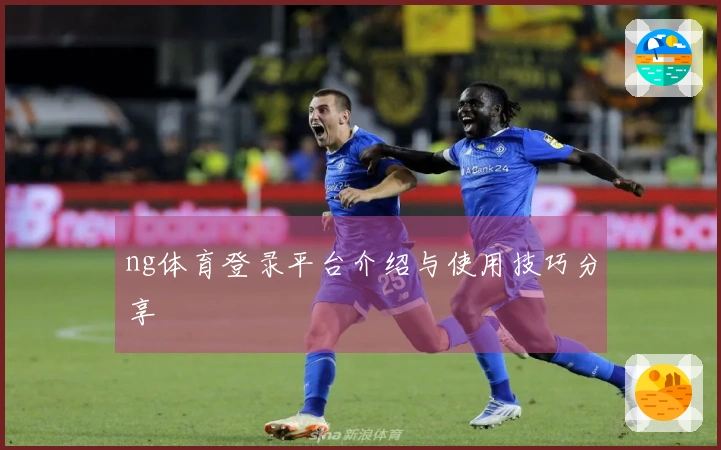 ng体育登录平台介绍与使用技巧分享