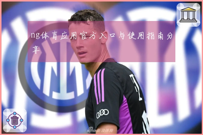 ng体育应用官方入口与使用指南分享