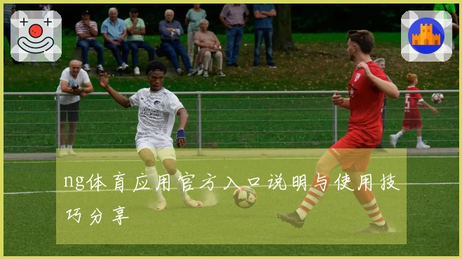 ng体育应用官方入口说明与使用技巧分享