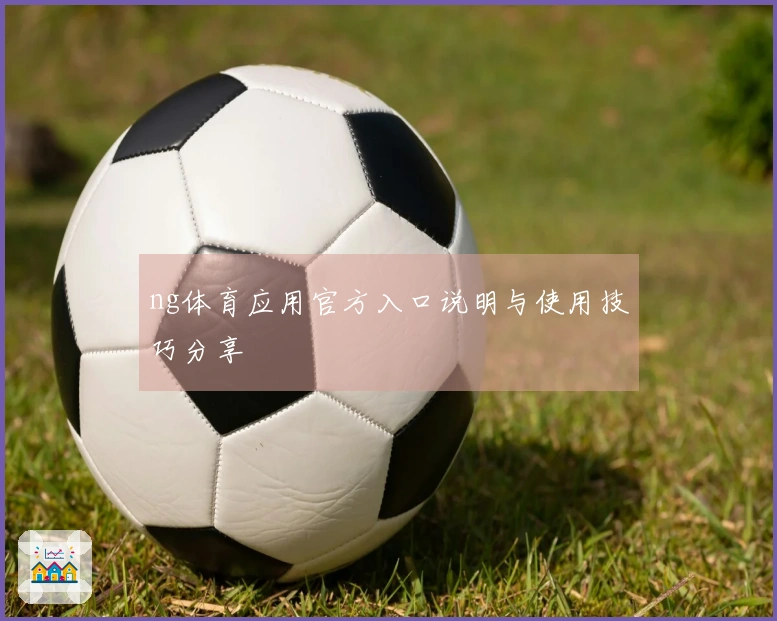 ng体育应用官方入口说明与使用技巧分享