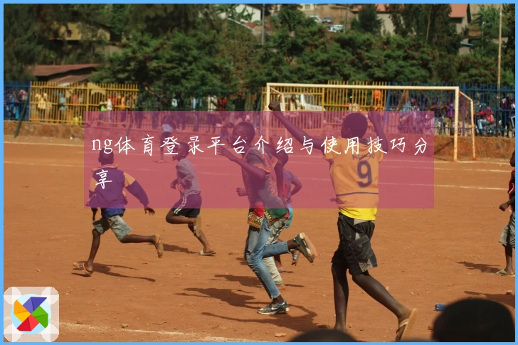ng体育登录平台介绍与使用技巧分享