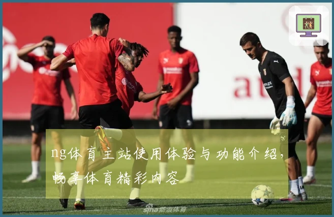 ng体育主站使用体验与功能介绍，畅享体育精彩内容